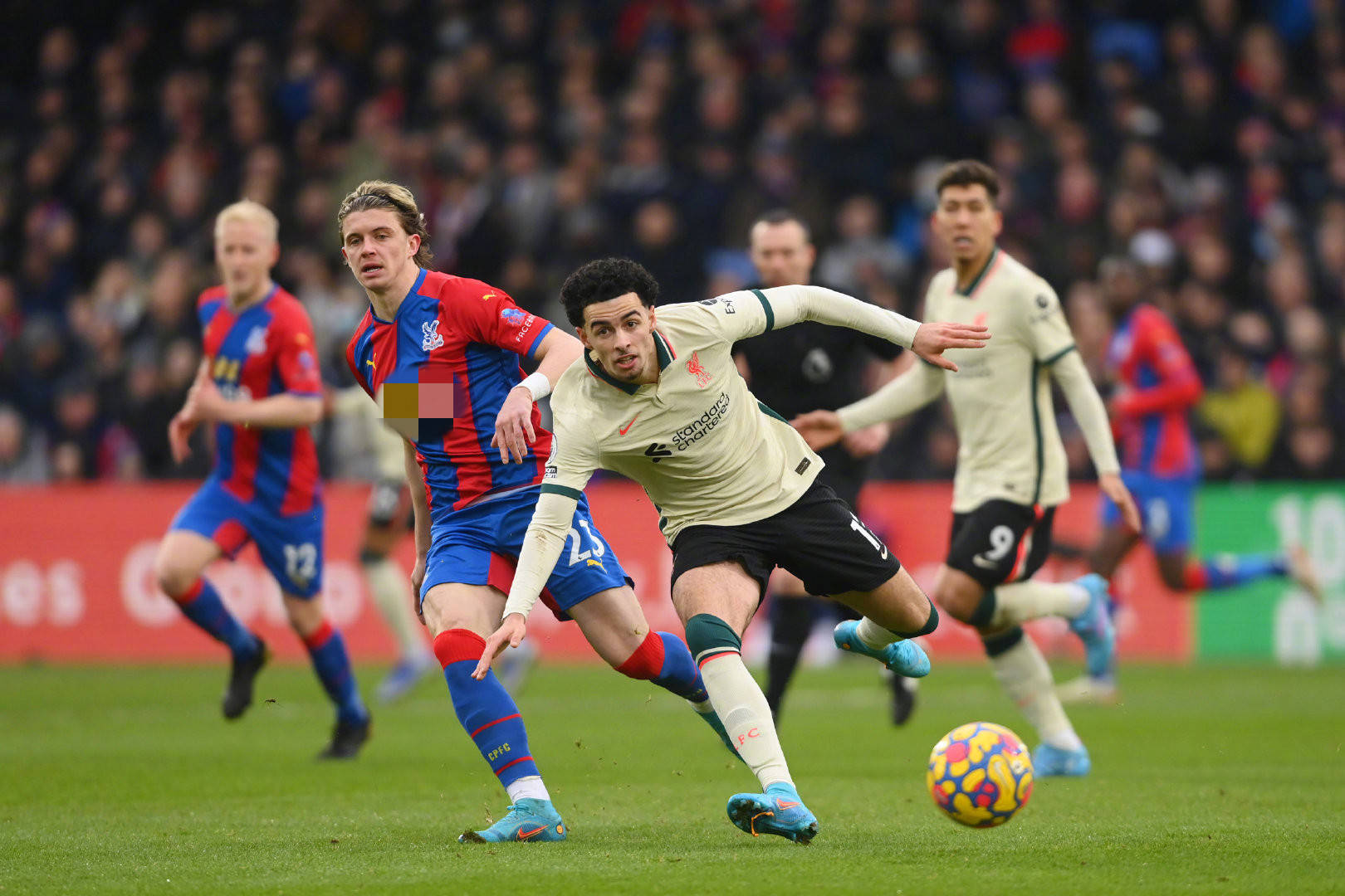 己的不足 己的不足